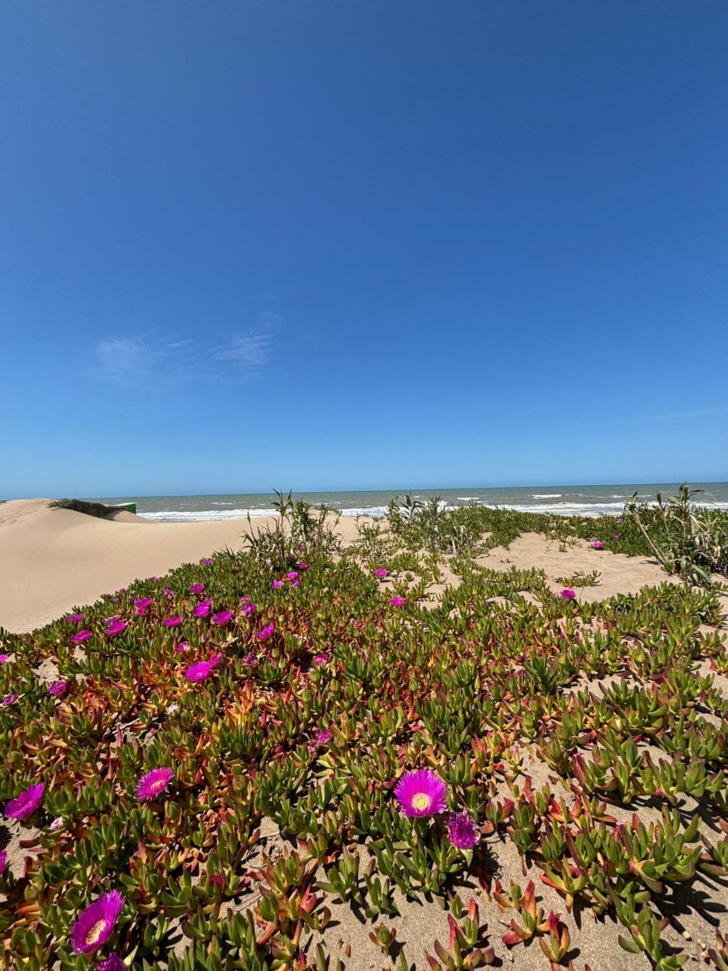 Hostel Hola Ola Villa Gesell Zewnętrze zdjęcie