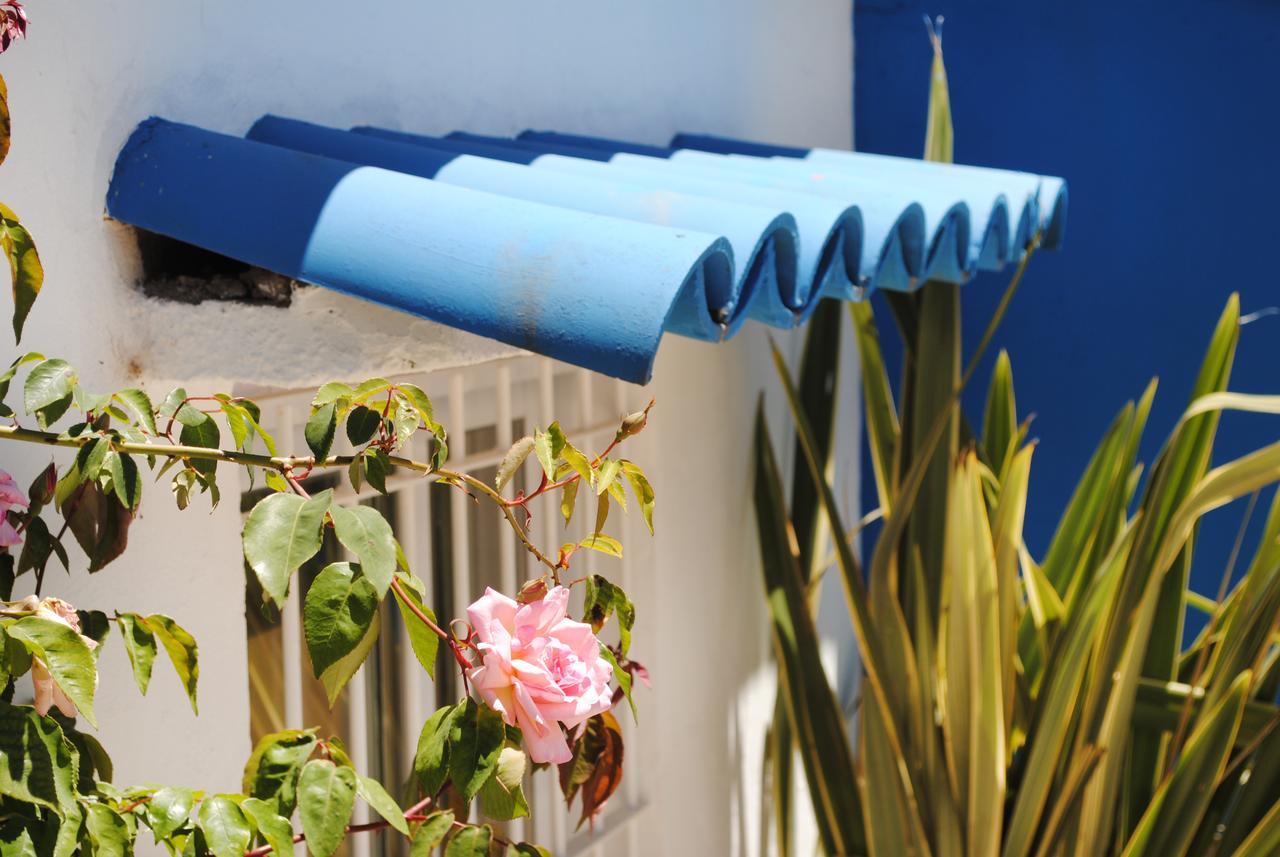 Hostel Hola Ola Villa Gesell Zewnętrze zdjęcie